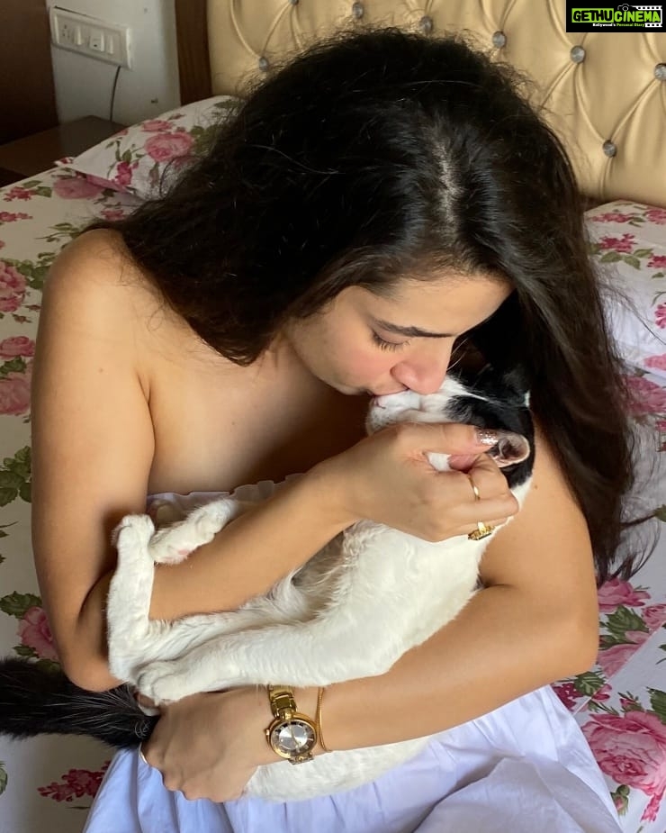 Sherlin Seth Instagram - My lil muffin π€ππ€ PS: The only reason he stayed in my arms for so long (11 seconds to be precise) is because I gave him treats after π π· @kratinc . #catmom #catsofinstagram #catlover #cat #sherlinseth #cute #cutecat #meow #bollywoodsong #bollywood #foryoupage #forme #viralpost #cats