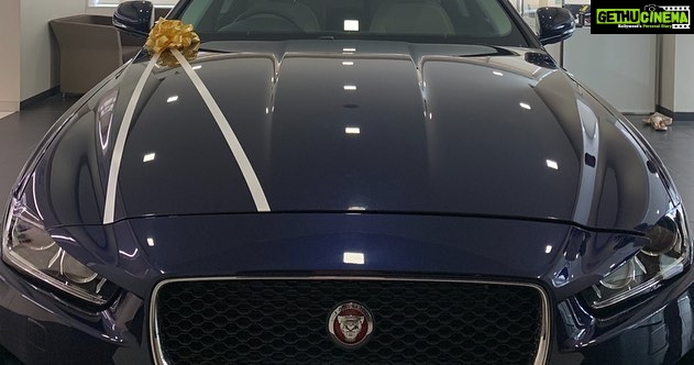 Shivangi Joshi Instagram - New addition to the family.. @jaguar ❤️ #welcomehomebaby #muchawaited