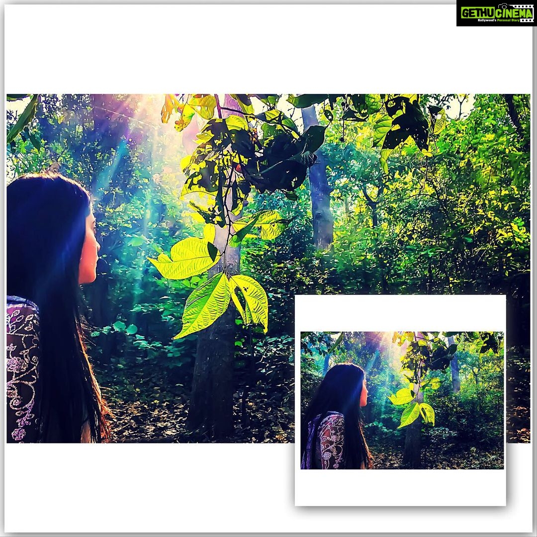 Shivangi Joshi Instagram - Joy in looking and comprehending is nature’s most beautiful gift. #earlymorningshoot #7amshift #lovefornature PC :- @rishimandial