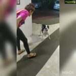 Shraddha Das Instagram - Watch it till the end🙈😂 #funnyvideos #doglover #laughatyourself Mumbai, Maharashtra