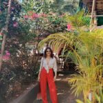 Shraddha Das Instagram - Wellness Inn Cafe ❤️ My kinda place! 👗 @artbyavnee @thewandermannequin #cafe #wellnesscafe #goadiaries #vacaymode #goodfoodisgoodmood #shraddhadas #gratitude #ashwembeach Wellnessinn Ashvem