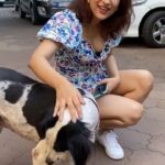 Shraddha Das Instagram - Animal Love 💕 Truest Love ! #dogloversofinstagram #doglover #animallovers #reelsinstagram #reeltoreel #dogreels #shraddhadas #nmrk Mumbai, Maharashtra