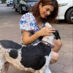 Shraddha Das Instagram - Animals make my heart melt ! 📸 @snehzala #doglover #animallovers