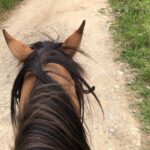 Shriya Saran Instagram - Colombia is heaven on earth. 🐎 riding is our new love.