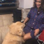 Shriya Saran Instagram - Too much love 💕 @goldenretrievers he loves me more than he love you @rajattangriofficial