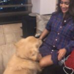 Shriya Saran Instagram – Too much love 💕 @goldenretrievers  he loves me more than he love you @rajattangriofficial