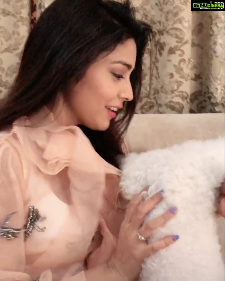 Shriya Saran Instagram - Hello!Want something to cheer up your day? Vigo video - One app for unlimited funny crazy and creative videos. @vigovideoindiaofficial #vigovideoindia #tamilthiramai Wearing @rajattangriofficial makeup hair @makeupbyapurva - Shriya Saran Instagram - Hello!Want something to cheer up your day? Vigo video - One app for unlimited funny crazy and creative videos. @vigovideoindiaofficial #vigovideoindia #tamilthiramai Wearing @rajattangriofficial makeup hair @makeupbyapurva -