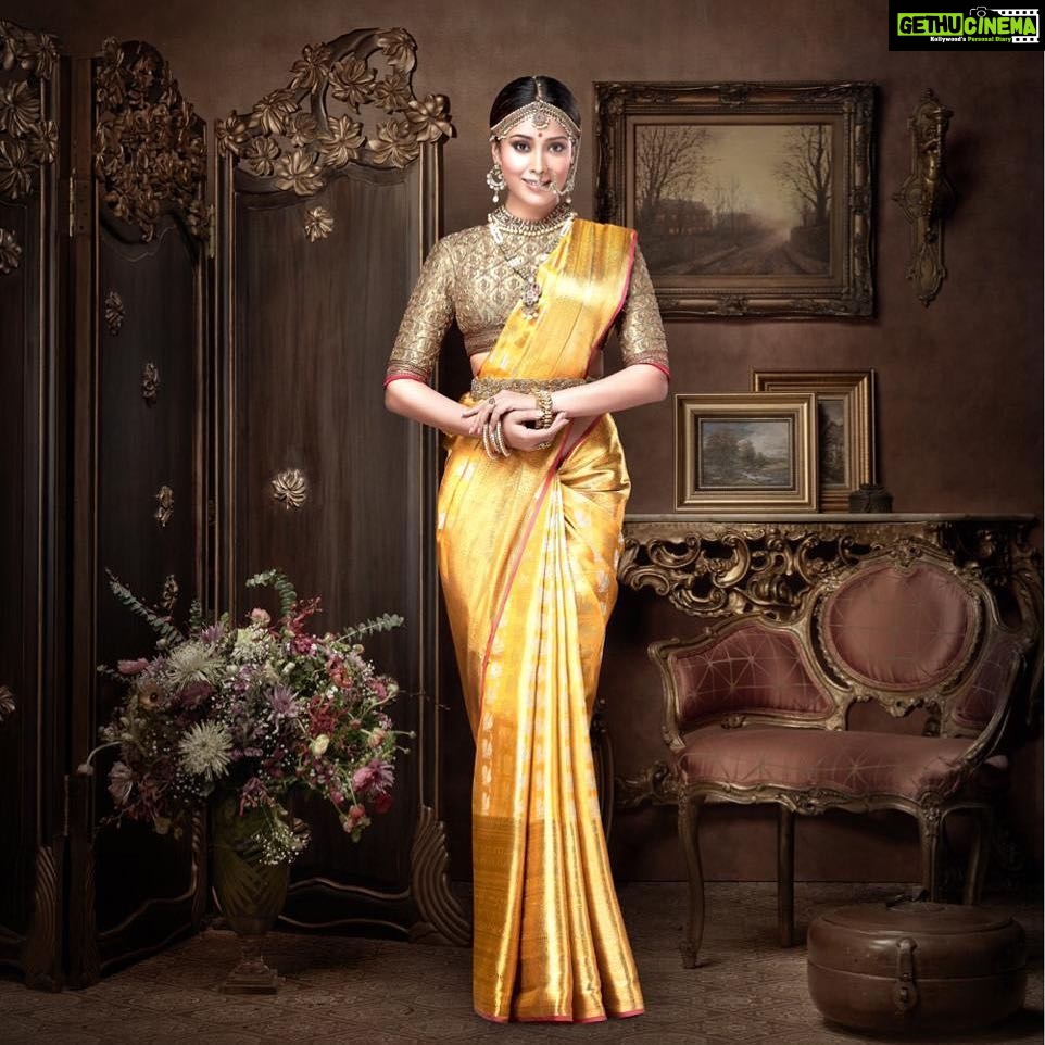 Shriya Saran Instagram - Happy Diwali, May this Festival of Lights bring happiness and beautiful memories. Wearing beautiful @vrksilks thank you Atul kasbekar for this picture. Will always be my favourite