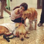 Shriya Saran Instagram - #Airport therapy 🐶 at the airport. Sweetest thing ever. Adorable. Playful and so loving. Nicest thing today after my Icy #chateapatishivajiinternationalairport @csiamumbai what a fantabulous idea to have these angels on four legs to chill with before flights.