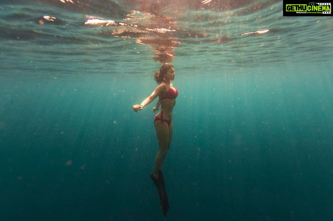 Shriya Saran Instagram - I can’t believe I did it. @anupjkat thank you for being the coolest under water Photographer. Please go check out this page , it’s for the ocean lovers👉🏼 @oneoceanonelove