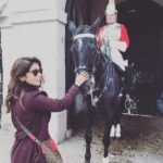 Shriya Saran Instagram - I like this guy! I'm talking about the horse 🐴 people!