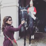 Shriya Saran Instagram – I like this guy! I’m talking about the horse 🐴 people!