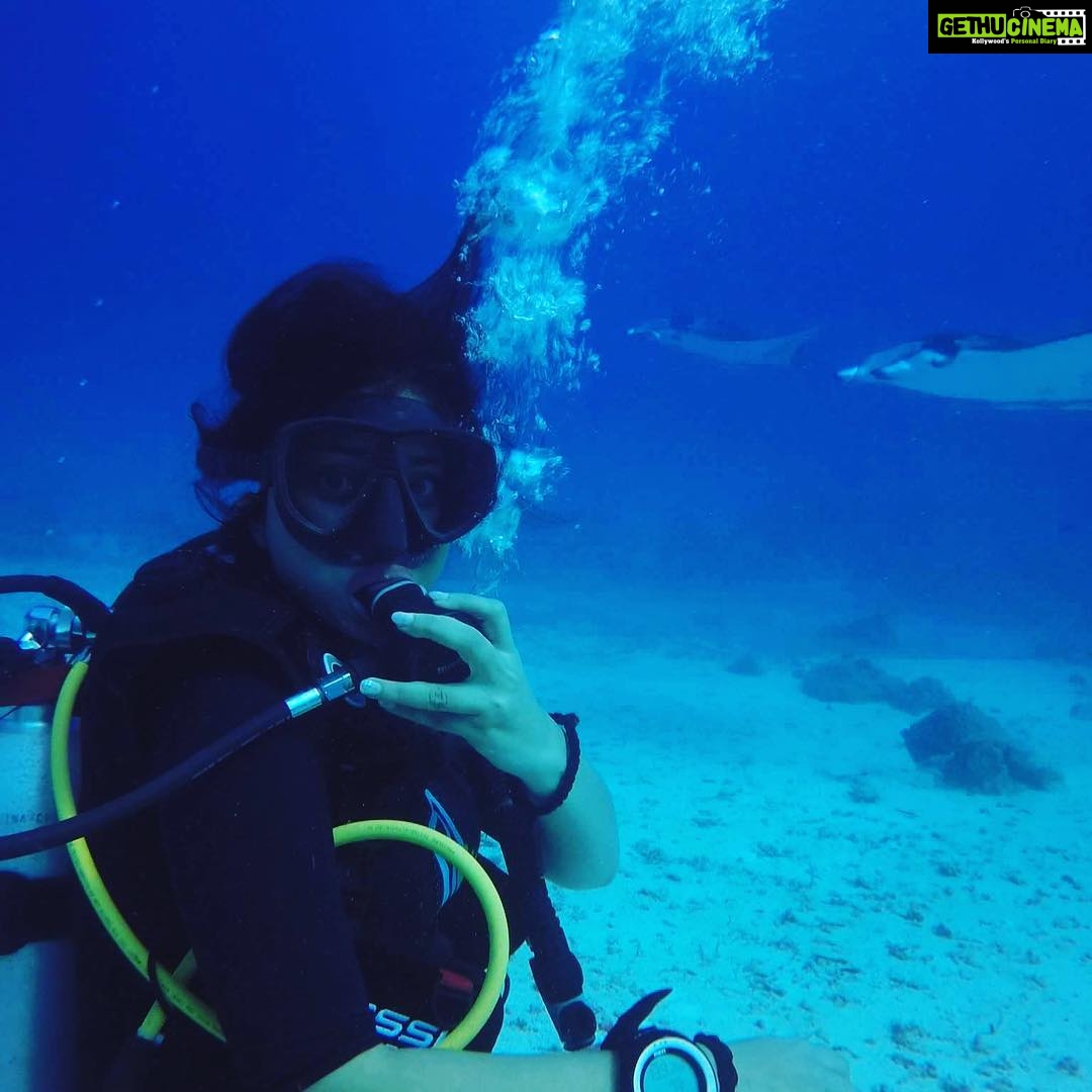 Shriya Saran Instagram - #nature #morninglove #peaceful #scubadiving #eagleray #blessed thank you @luminousdeep for teaching me how to dive.