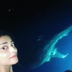 Shriya Saran Instagram - #whaleshark #Maldives #beautiful #peaceful