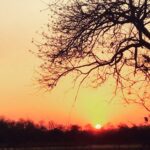 Shriya Saran Instagram - #sunset #girforest #splendid