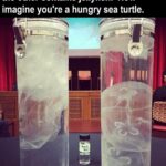 Shriya Saran Instagram - #saynotoplastics #sealife #thinkaboutit