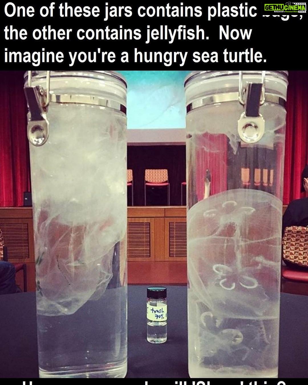 Shriya Saran Instagram - #saynotoplastics #sealife #thinkaboutit