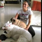 Shweta Tiwari Instagram – Saying Goodbye to a special pet can be the hardest thing of all , who brought so much happiness in our lives.. RIP Sweetu..! Love you so much..! 🙏🏼