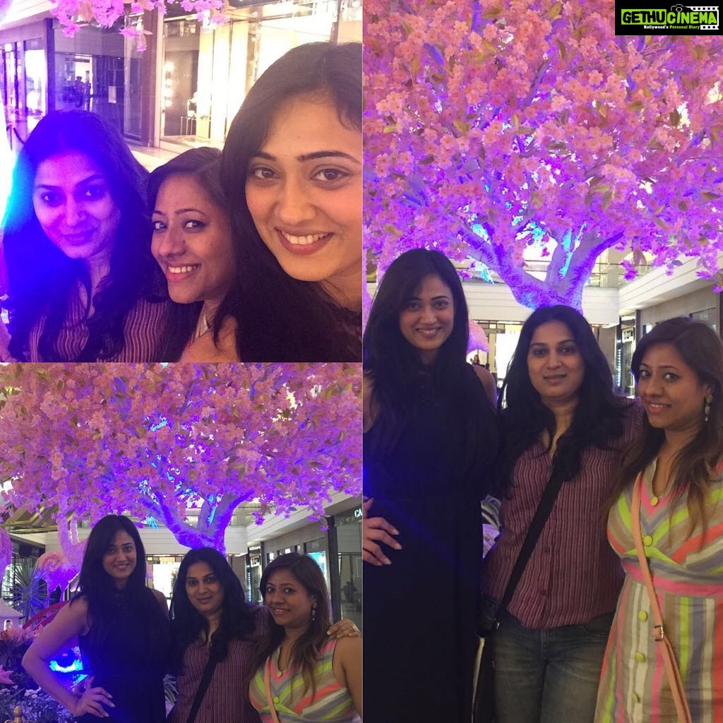 Shweta Tiwari Instagram - Finding Friends with the same mental disorder ..... Priceless !!!