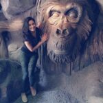 Shweta Tiwari Instagram - 🙈🐵🙊 #disneyworldorlando #animalkingdom #shwetatiwari