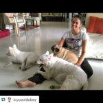 Shweta Tiwari Instagram - 😘😘😘😘😘#Repost @icycooldubey with @repostapp. Awww .... 😘😘😘😘 Nothing is more rejuvenating than a lap full of canine love after a rigourous workout - the secret behind her ageless beauty!!