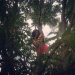 Shweta Tiwari Instagram - Look there is a Monkey on the Tree..🙊🌳#shwetatiwari#panvel#farmhouse#fun#freedom#mothernature #lovingit 🌿🌾🍀🍃