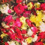 Sid Sriram Instagram - Flowers on the ground /