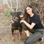 Simran Kaur Mundi Instagram – Always #OnDuty #jaydee 😍 #rottweiler #guardianangel 
.
.
#rottie #rottielove #black #rugged #handsomedog #rott #mutt #brown #dogslove #jungle #photography #junglephotography