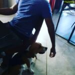 Sneha Instagram – Marlo mommy’s boy n Pablo daddy’s boy #beagleslove#family