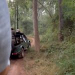 Soha Ali Khan Instagram – Tigers in Tadoba! Thank you @sudester  @peekadocrayons @the_bamboo_forest for this incredible experience #chhotirani #rudra