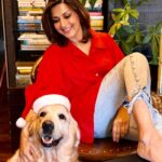 Sonali Bendre Instagram - Our Christmas blessing 🐶♥️ Happy Birthday #LittleMissIcy… and a Merry Cherry Christmas everyone ✨