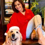 Sonali Bendre Instagram – Our Christmas blessing 🐶♥️ 
Happy Birthday #LittleMissIcy… and a Merry Cherry Christmas everyone ✨