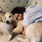 Sonali Bendre Instagram – Couch babies 😄
#LittleMissIcy

#reelitfeelit

#dogstagram
#dogs 
#dogscorner
#dogsworld
#dogsarefamily
#dogsdaily 
#dogsinsta
#dogsthathike
#dogslover
#dogslife 
#dogsofig 
#dogsofinstagram 
#doggos 
#doggo 
#dogsitting
#cutedogs 
#instadogs