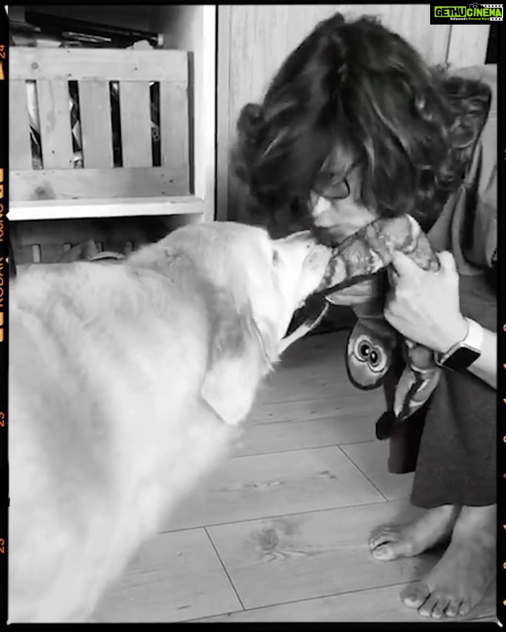 Sonali Bendre Instagram - #Playdate with #LittleMissIcy❣️🐶 . . . 🎶: @littlebodybigheart