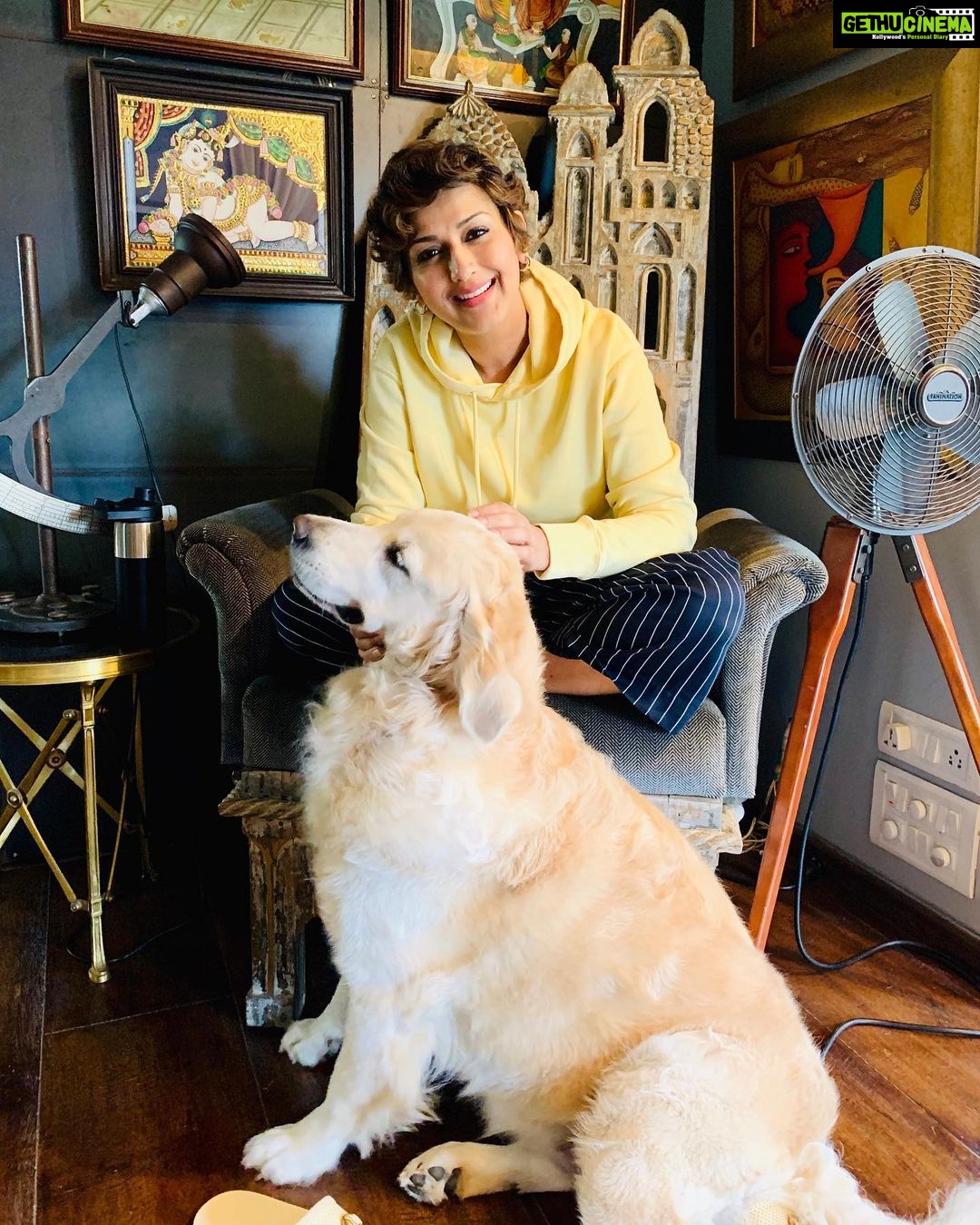 Sonali Bendre Instagram - We celebrate our #LittleMissIcy not just today but everyday! #HappyDogDay my little furball of happiness ♥️🐶
