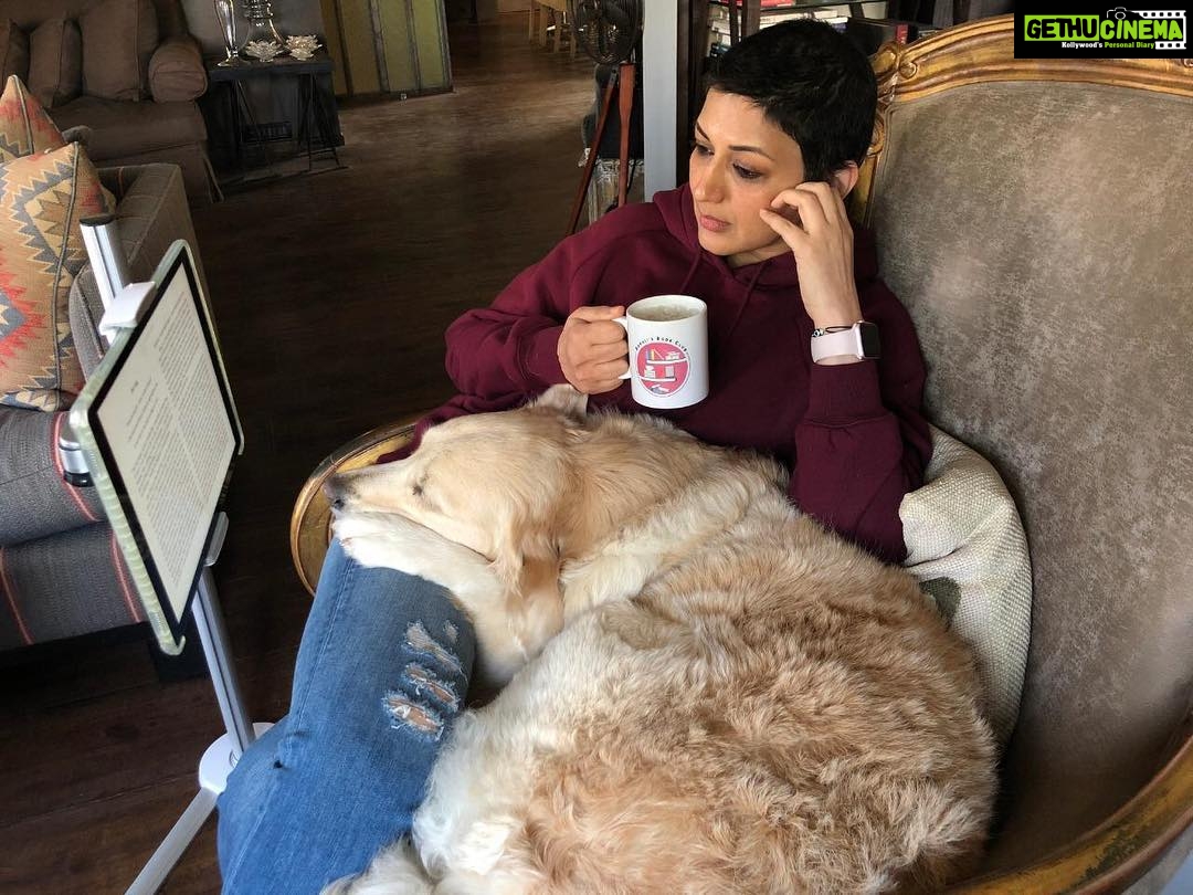 Sonali Bendre Instagram - Guys, please welcome the newest member on the book club: #LilMissIcy😄! I'm pretty sure that the love for reading has rubbed off on her too, because she joined me in reading our book this month, ‘Jet Lag’ by Ann Birstein. We finished the book in one go and for me, it was as intriguing as reading it for the first time. Important subject; intelligent writing. Have you guys finished reading it? #SBCBookDiscussion