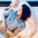 Sonali Bendre Instagram – Super thankful for #LittleMissIcy, not just this #InternationalGoldenRetrieverDay, but every single day!! ❤❤