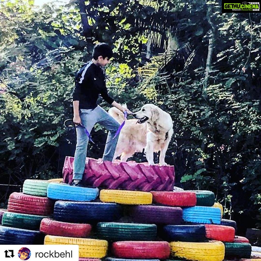 Sonali Bendre Instagram - Adventures of a boy n a dog! #heartmonsters💖 #instapuppy #puppylove #dogstagram #weelyfluff #cute #funtimes