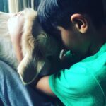 Sonali Bendre Instagram – Puppy love ❤️💛💚💙💜 #unconditionallove #boysbestfreind #joy #fun #noplacelikehome #besthug #cuddles #love #goldenreteiver #bigheart #puppygirl #licksandkisses