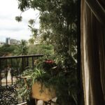 Sonali Bendre Instagram - Rains hv inspired me...gardening day today....my fav corner in d house became even more special....