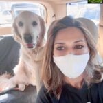 Sonali Bendre Instagram - Look on the bright side —> 😋🐶💖 (Since we have no where to go I took her on a drive) #LittleMissIcy