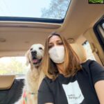 Sonali Bendre Instagram - Look on the bright side —> 😋🐶💖 (Since we have no where to go I took her on a drive) #LittleMissIcy