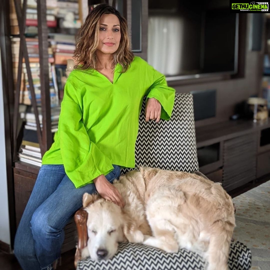 Sonali Bendre Instagram - And the best poser award goes to.... #LittleMissIcy 🐶