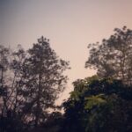 Sonarika Bhadoria Instagram - Pick the softest colour and let it make you smile