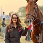 Sonia Mann Instagram - Love for Horses ❤️ #horses #lovehorses #instahorse