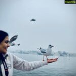 Sonu Gowda Instagram - *SEAGULLS* They are siberian gulls migrate from Seberia, you can see them in Ganga and Yamuna rivers.. It was treasure moment 🤗pics says it all❤️ thanks @rakshit_erappa Varanasi, India