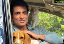 Sonu Sood Instagram - बस यूँ ही 🤍
