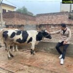 Sonu Sood Instagram - Anyone for fresh milk ?🤍