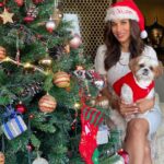 Sophie Choudry Instagram - Ate too much🙈 Happy Holla days!🥰🌲🎅🏻 #christmas #christmastree #merryxmas #christmaslunch #love #xmas #christmasdecor #twinning #sophiechoudry #tiachoudry #doglover #shihtzu #merrychristmas #christmastime #santa #christmasgifts #natale #santaclaus #christmasdecorations #christmaslights
