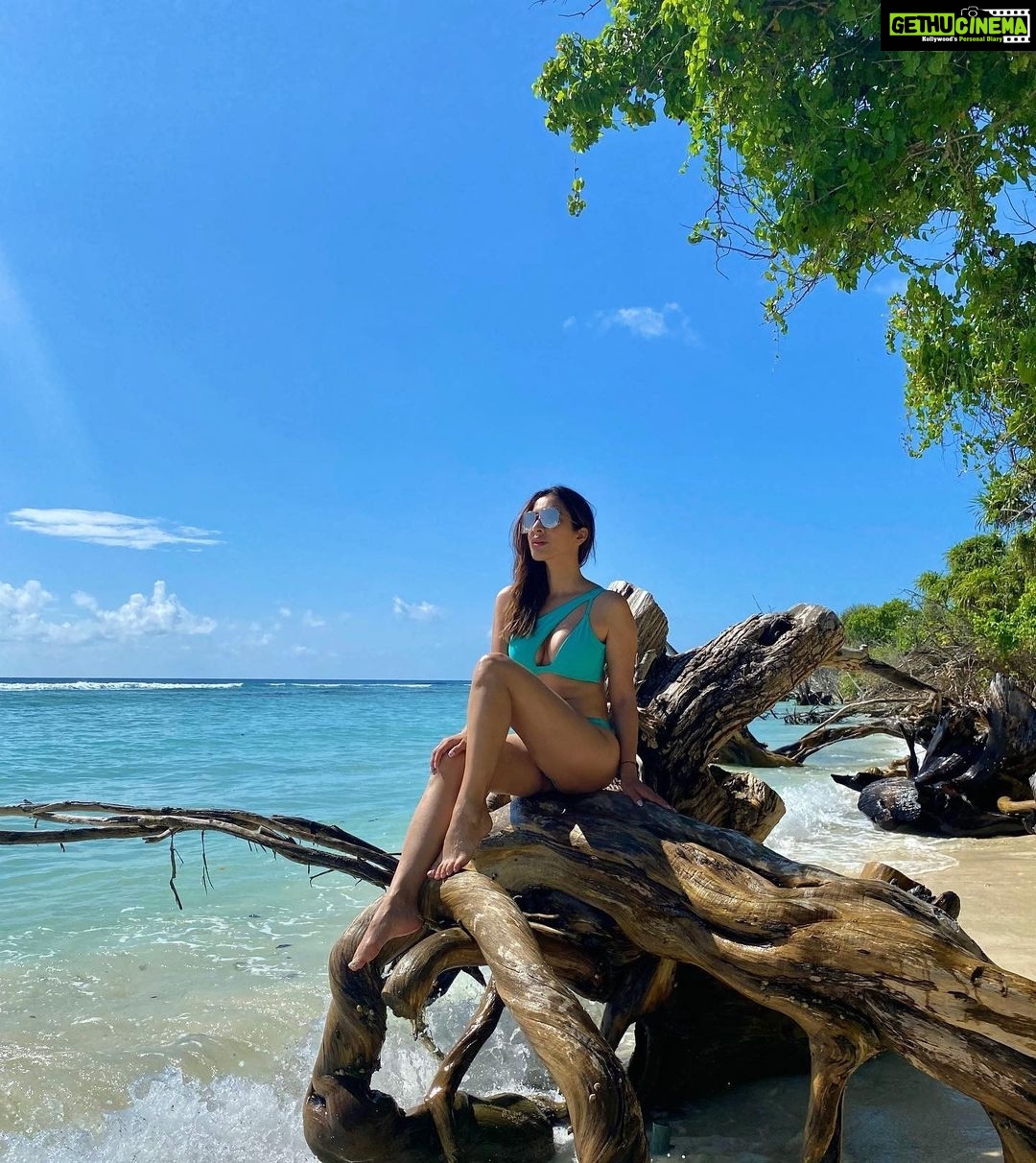Sophie Choudry Instagram - I can sea clearly nowππ #mentallyonthebeach π @flirtatious_india @tanimakhosla #takemeback #perfectview #bestseatinthehouse #islandgirl #paradise #oceanlife #mothernature #discoversoneva #nofilterneeded #sophiechoudry #beachlife #maldives